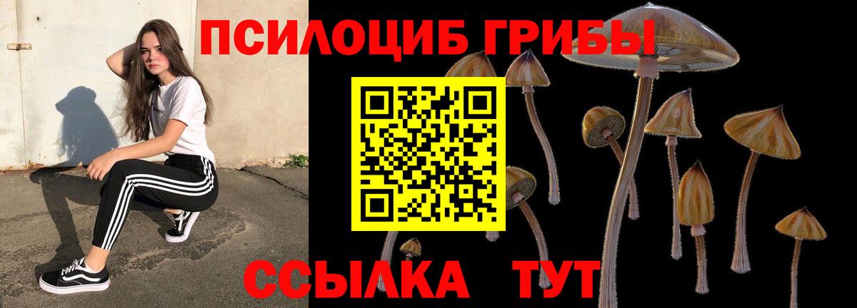 Лабытнанги  Псилоцибиновые грибы Psilocybine cubensis  Вход с VPN 